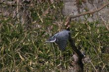 20100220_085.jpg