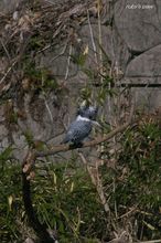 20100220_090.jpg