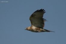 20100220_262.jpg