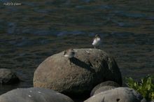 20100220_277.jpg