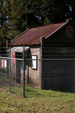 20100220_395.jpg
