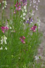 20100301_12808.jpg