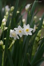 20100301_12814.jpg