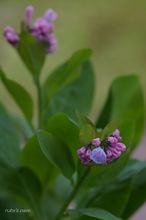 20100301_12823.jpg