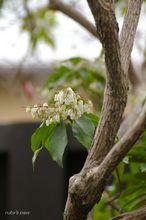 20100303_12857.jpg