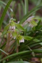 20100303_12867.jpg