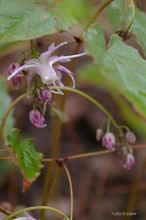 20100304_12901.jpg