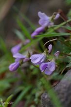 20100307_678.jpg