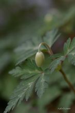 20100309_13044.jpg