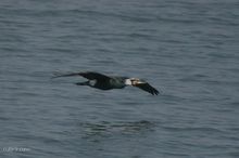20100314_002.jpg