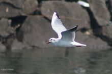 20100314_025.jpg