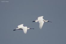 20100314_077.jpg