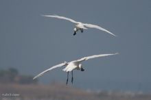 20100314_082.jpg