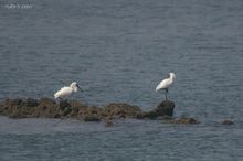 20100314_084.jpg