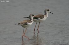 20100314_183.jpg