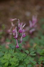 20100316_13175.jpg