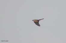 20100320_096.jpg