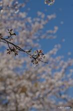 20100321_731.jpg