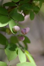 20100321_770.jpg