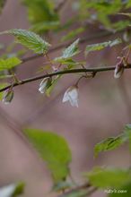 20100327_005.jpg