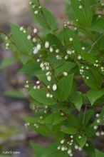 20100331_13372.jpg