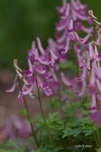 20100331_13404.jpg