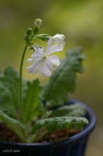 20100402_13430.jpg