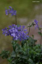 20100402_13447.jpg
