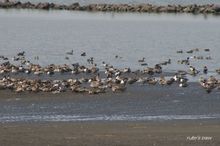 20100403_229.jpg