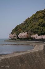 20100403_250.jpg