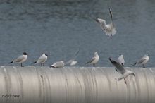 20100404_018.jpg