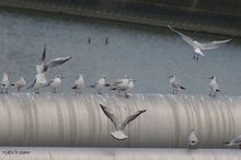 20100404_038.jpg