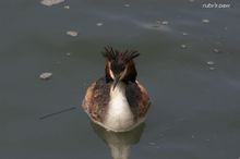20100404_076.jpg