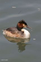 20100404_079.jpg