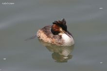 20100404_104.jpg