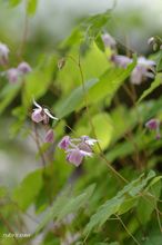 20100411_13655.jpg