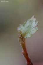 20100411_13691.jpg