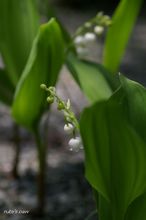 20100411_13709.jpg