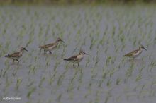 20100417_479.jpg