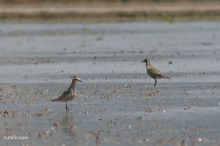 20100417_503.jpg