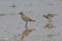 20100417_521.jpg