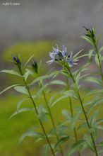 20100419_13892.jpg