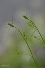 20100423_14072.jpg