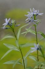 20100423_14080.jpg