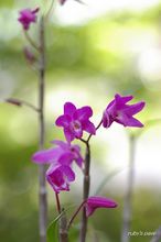 20100424_14152.jpg