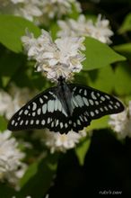 20100424_17906.jpg