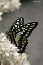 20100424_17939.jpg
