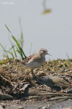 20100501_071.jpg