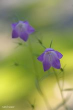 20100501_14208.jpg