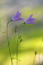 20100501_14223.jpg